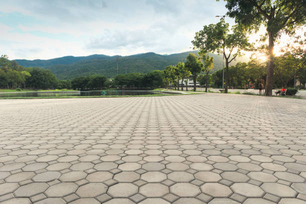 Best Driveway Pavers Near Me  in Woodcreek, TX